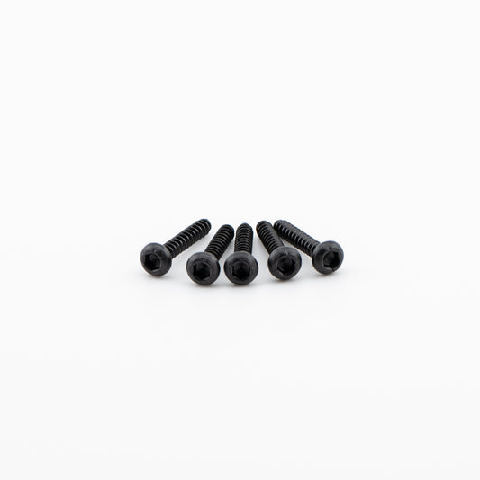 Spare Screws for H1/H2T Case