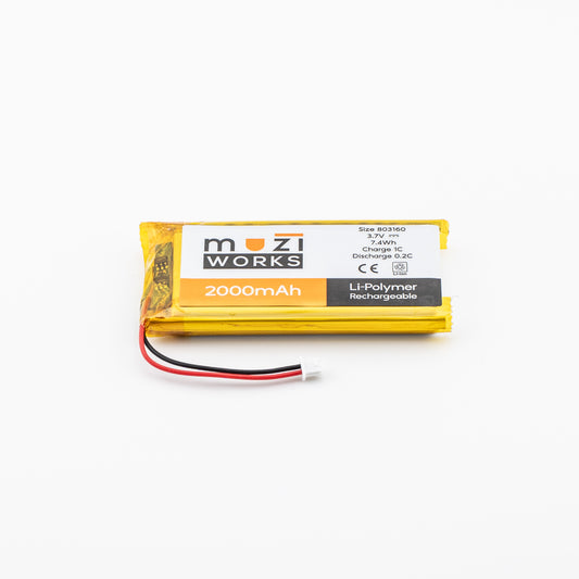 H2T Battery